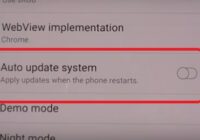 How to Enable Disable Auto Update System Samsung Galaxy S10