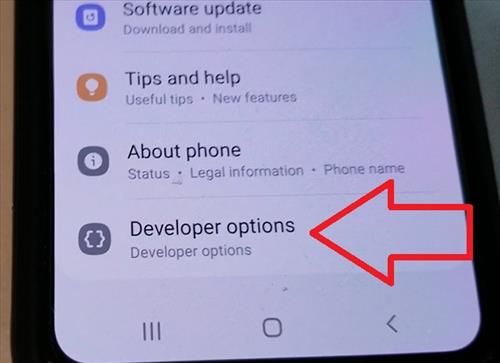 How To Enable Developer Options Galaxy S10 Overview