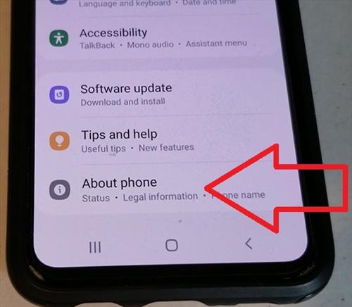 How To Enable Developer Options Galaxy S10 Step 2