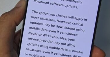 How to Download Galaxy S25 Software Updates Over Mobile Data