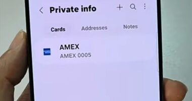 How to Save Your Credit or Debit Card in Samsung Pass for Auto-Fill